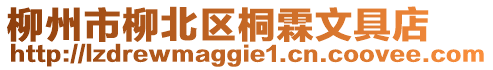 柳州市柳北區(qū)桐霖文具店