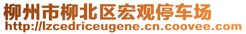 柳州市柳北區(qū)宏觀停車場