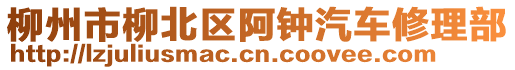 柳州市柳北區(qū)阿鐘汽車修理部