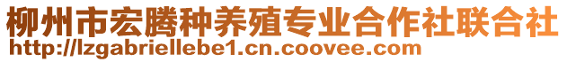 柳州市宏騰種養(yǎng)殖專業(yè)合作社聯(lián)合社