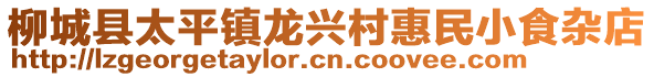 柳城县太平镇龙兴村惠民小食杂店