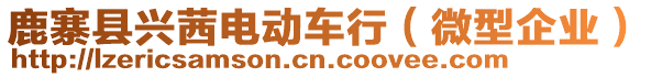 鹿寨縣興茜電動車行（微型企業(yè)）