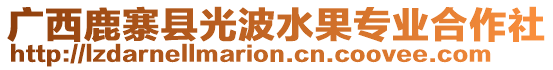 廣西鹿寨縣光波水果專業(yè)合作社