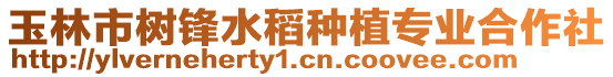 玉林市樹鋒水稻種植專業(yè)合作社