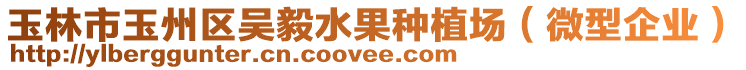 玉林市玉州區(qū)吳毅水果種植場（微型企業(yè)）