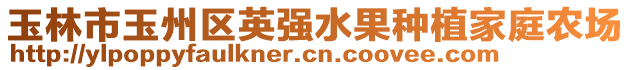 玉林市玉州區(qū)英強(qiáng)水果種植家庭農(nóng)場(chǎng)