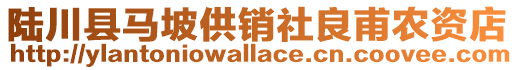 陸川縣馬坡供銷社良甫農(nóng)資店