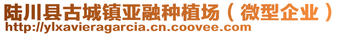 陸川縣古城鎮(zhèn)亞融種植場(chǎng)（微型企業(yè)）