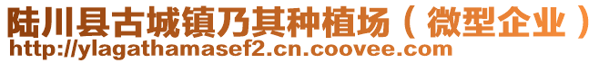 陸川縣古城鎮(zhèn)乃其種植場（微型企業(yè)）