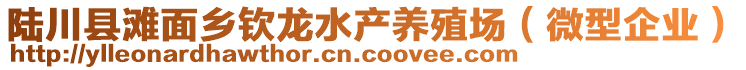 陸川縣灘面鄉(xiāng)欽龍水產(chǎn)養(yǎng)殖場(chǎng)（微型企業(yè)）