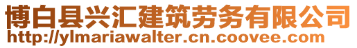 博白縣興匯建筑勞務(wù)有限公司