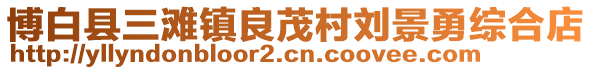 博白縣三灘鎮(zhèn)良茂村劉景勇綜合店