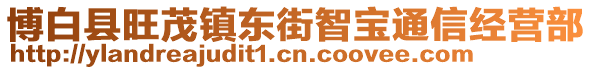 博白縣旺茂鎮(zhèn)東街智寶通信經(jīng)營(yíng)部