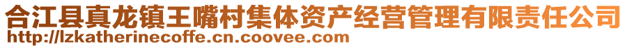 合江县真龙镇王嘴村集体资产经营管理有限责任公司