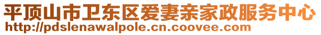 平頂山市衛(wèi)東區(qū)愛(ài)妻親家政服務(wù)中心