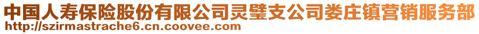 中國人壽保險股份有限公司靈璧支公司婁莊鎮(zhèn)營銷服務部