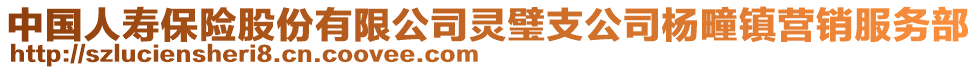 中国人寿保险股份有限公司灵璧支公司杨疃镇营销服务部