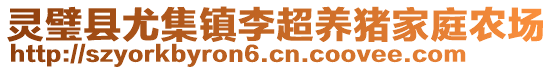 灵璧县尤集镇李超养猪家庭农场