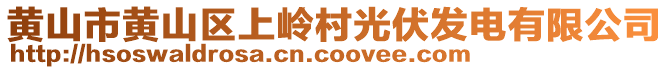 黃山市黃山區(qū)上嶺村光伏發(fā)電有限公司