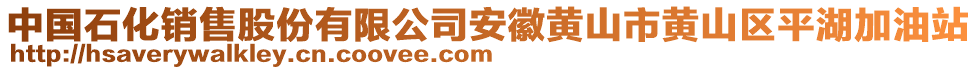 中國石化銷售股份有限公司安徽黃山市黃山區(qū)平湖加油站