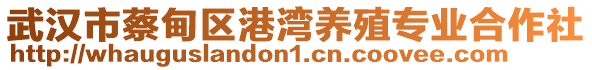 武漢市蔡甸區(qū)港灣養(yǎng)殖專業(yè)合作社