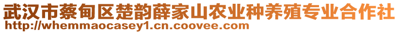 武漢市蔡甸區(qū)楚韻薛家山農(nóng)業(yè)種養(yǎng)殖專業(yè)合作社