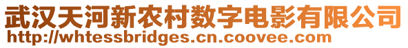 武漢天河新農(nóng)村數(shù)字電影有限公司