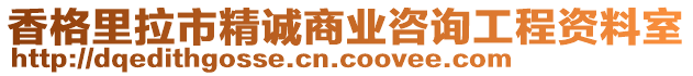 香格里拉市精誠(chéng)商業(yè)咨詢工程資料室