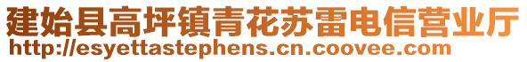 建始縣高坪鎮(zhèn)青花蘇雷電信營業(yè)廳