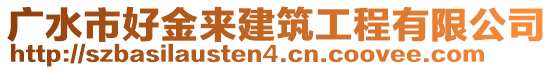 廣水市好金來(lái)建筑工程有限公司