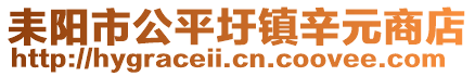 耒阳市公平圩镇辛元商店