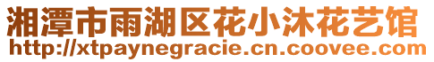 湘潭市雨湖區(qū)花小沐花藝館