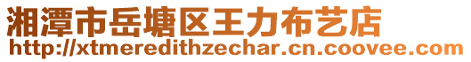 湘潭市岳塘区王力布艺店