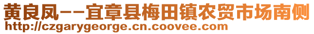 黃良鳳--宜章縣梅田鎮(zhèn)農(nóng)貿(mào)市場(chǎng)南側(cè)