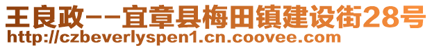 王良政--宜章县梅田镇建设街28号