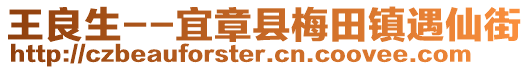 王良生--宜章县梅田镇遇仙街