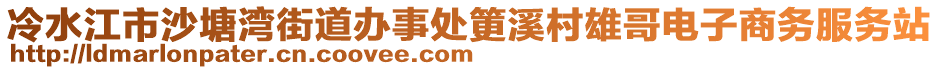 冷水江市沙塘灣街道辦事處筻溪村雄哥電子商務(wù)服務(wù)站