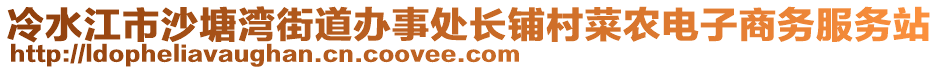 冷水江市沙塘灣街道辦事處長鋪村菜農電子商務服務站