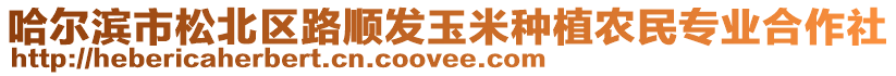 哈爾濱市松北區(qū)路順發(fā)玉米種植農(nóng)民專業(yè)合作社