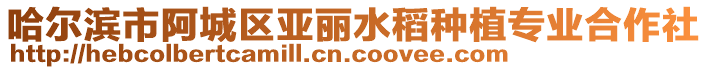 哈尔滨市阿城区亚丽水稻种植专业合作社