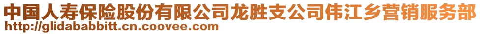 中國人壽保險(xiǎn)股份有限公司龍勝支公司偉江鄉(xiāng)營銷服務(wù)部