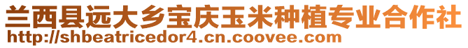 兰西县远大乡宝庆玉米种植专业合作社