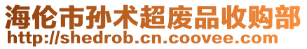 海倫市孫術超廢品收購部