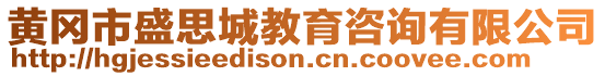 黃岡市盛思城教育咨詢有限公司