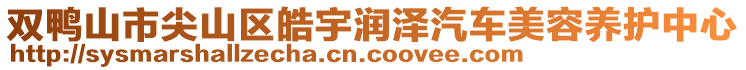 雙鴨山市尖山區(qū)皓宇潤(rùn)澤汽車美容養(yǎng)護(hù)中心