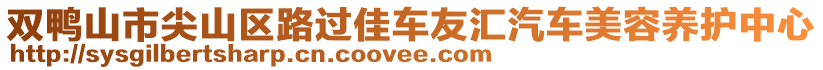 双鸭山市尖山区路过佳车友汇汽车美容养护中心