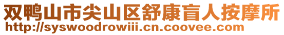 双鸭山市尖山区舒康盲人按摩所