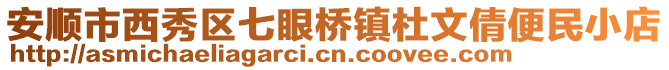 安順市西秀區七眼橋鎮杜文倩便民小店
