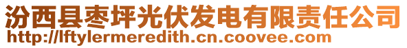 汾西縣棗坪光伏發(fā)電有限責(zé)任公司