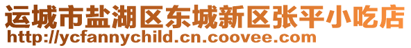 運城市鹽湖區(qū)東城新區(qū)張平小吃店